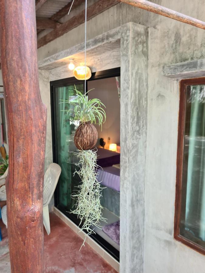 Phangan Villa Bungalows Thongsala Ngoại thất bức ảnh